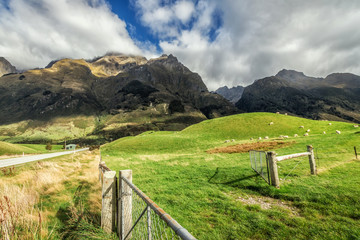 Fototapeta premium Near Lake Wakatipu between Queentown and Glenorchy in the South