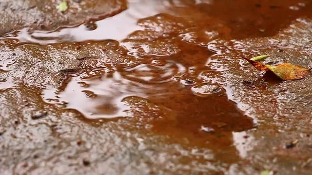 Rain in the mud