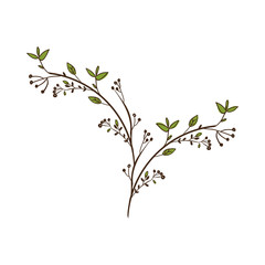 Branches with leaves icon over white background. plant natural decoration theme. vector illustration