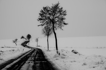 trees on snow covered landscape against clear sky