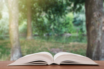 Open book over the landscape background