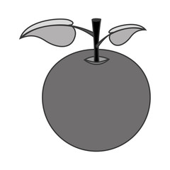 orange fruit icon over white background. healthy and natural food design. vector illustration