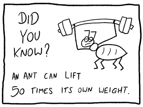 Insect facts - cartoon funny trivia fact