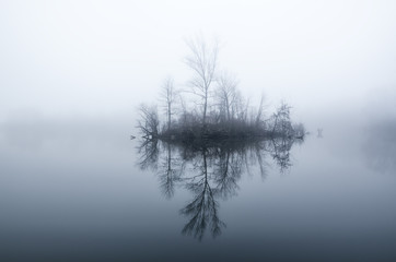 Little island with trees