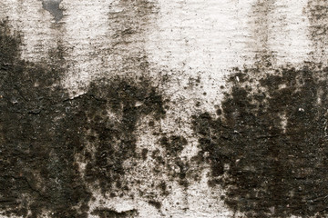 white concrete wall texture