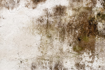 white concrete wall texture