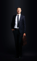 Portrait of a Handsome Young Man,