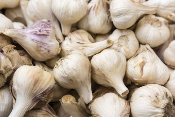 Dying with garlic buds.