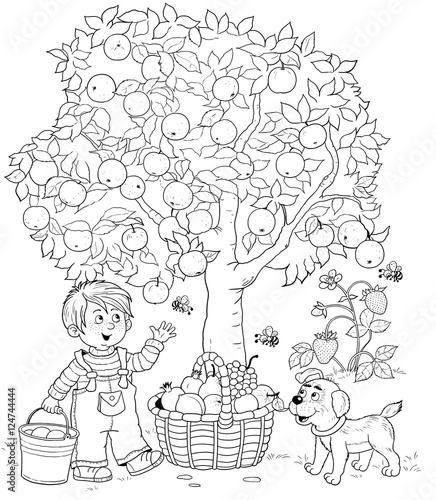 Garden Cute Boy Puppy Picking Apples Basket Full Coloring Pages