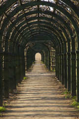 The corridor from wooden arch with grass