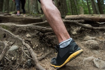 Low section of hiker hiking in countryside