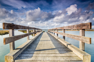 Wooden footbridge in the marshes.
