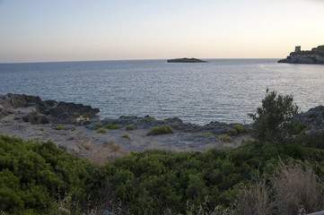 Coastline with vegetation at sunset