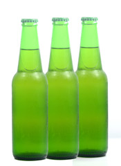  Beer bottle isolated on white background.