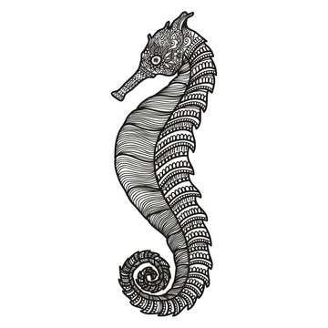 Zentangle stylized black Sea Horse. Hand Drawn vector illustration isolated on white background. Sketch ocean collection.