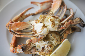 Blue crab grilled