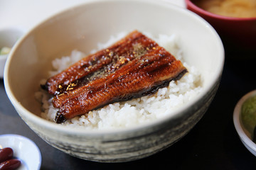 Unagi don , grilled eel with rice , Japanese food