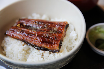 Unagi don , grilled eel with rice , Japanese food