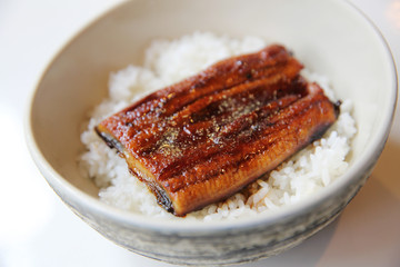 Unagi don , grilled eel with rice , Japanese food