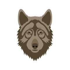 Wolf head vector illustration style flat side front