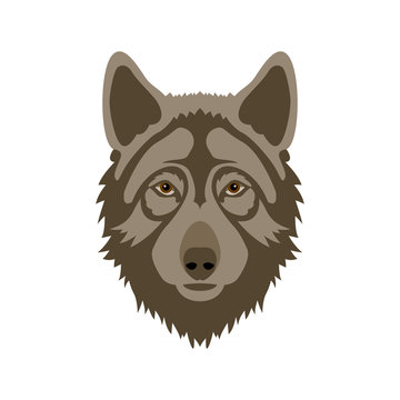 Wolf head vector illustration style flat side front