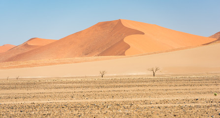 Fototapeta na wymiar Namib, Dünen in der Mittagshitze, Namibia