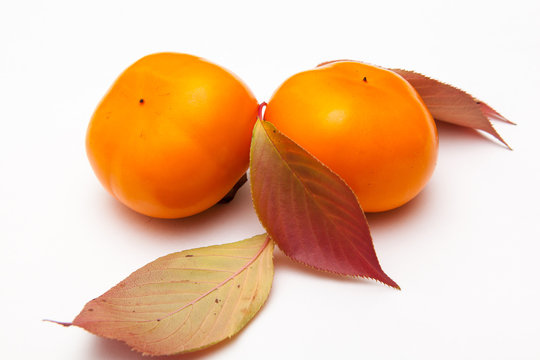 persimmons and red leaves on white backgrounds