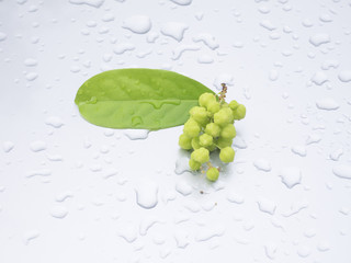  star gooseberry rested on a gray background