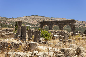 Ruins of city Volubilis