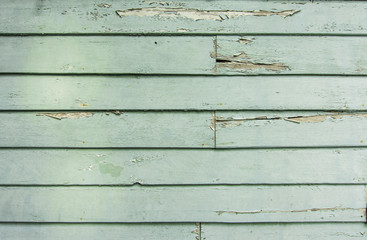 old light green wood plank background