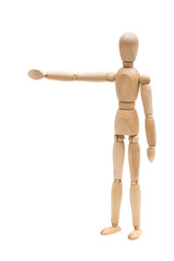 man on the white background