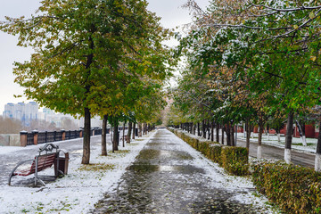 Autumn alley and first snow