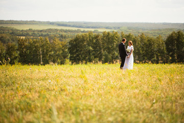 Fototapeta premium couple bride and groom on field background