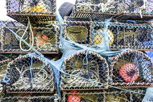 Lobster creels