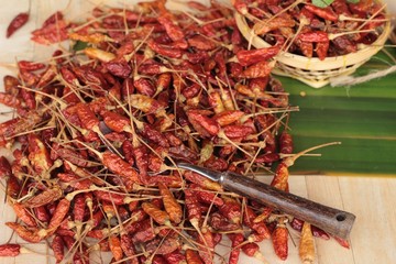 Dried red chili peppers on wood background.