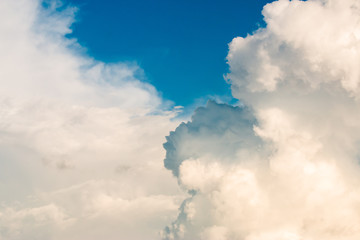 A background of peeling paint and rusty old metal