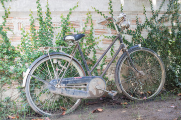 Fototapeta na wymiar Vintage bicycle decorated on old wall