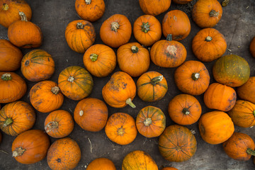 Small pumpkins on the table