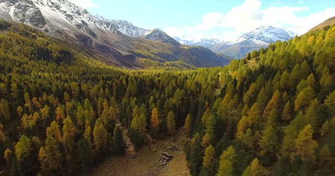 Aerial 4k - Lago Saoseo - Val di Campo - Svizzera - Vista autunnale