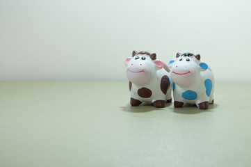 A couple cow on white background for add text in left side