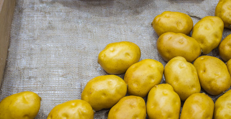 Plastic potato for decoration.