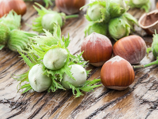 Young hazelnuts and ripe brown hazelnuts on the wooden table.