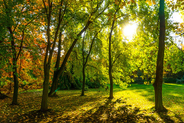 Beautiful colorful autumn.