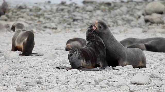 Callahan Images Browse 42 Stock Photos, Vectors, and Video Adobe Stock