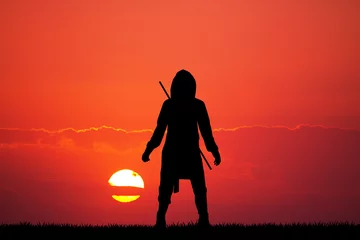 Photo sur Plexiglas Arts martiaux silhouette de ninja au coucher du soleil