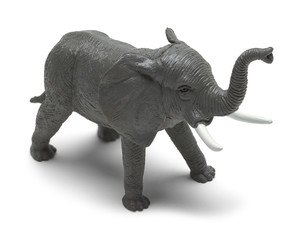 Fototapeta premium Elephant
