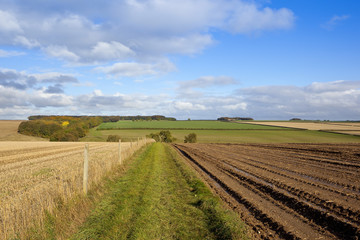 country footpath