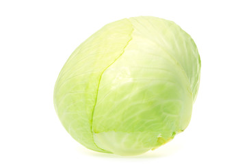  cabbage