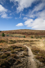 mont lozère cévennes