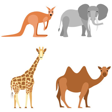 Set of animals: elephant, camel, giraffe, kangaroo
